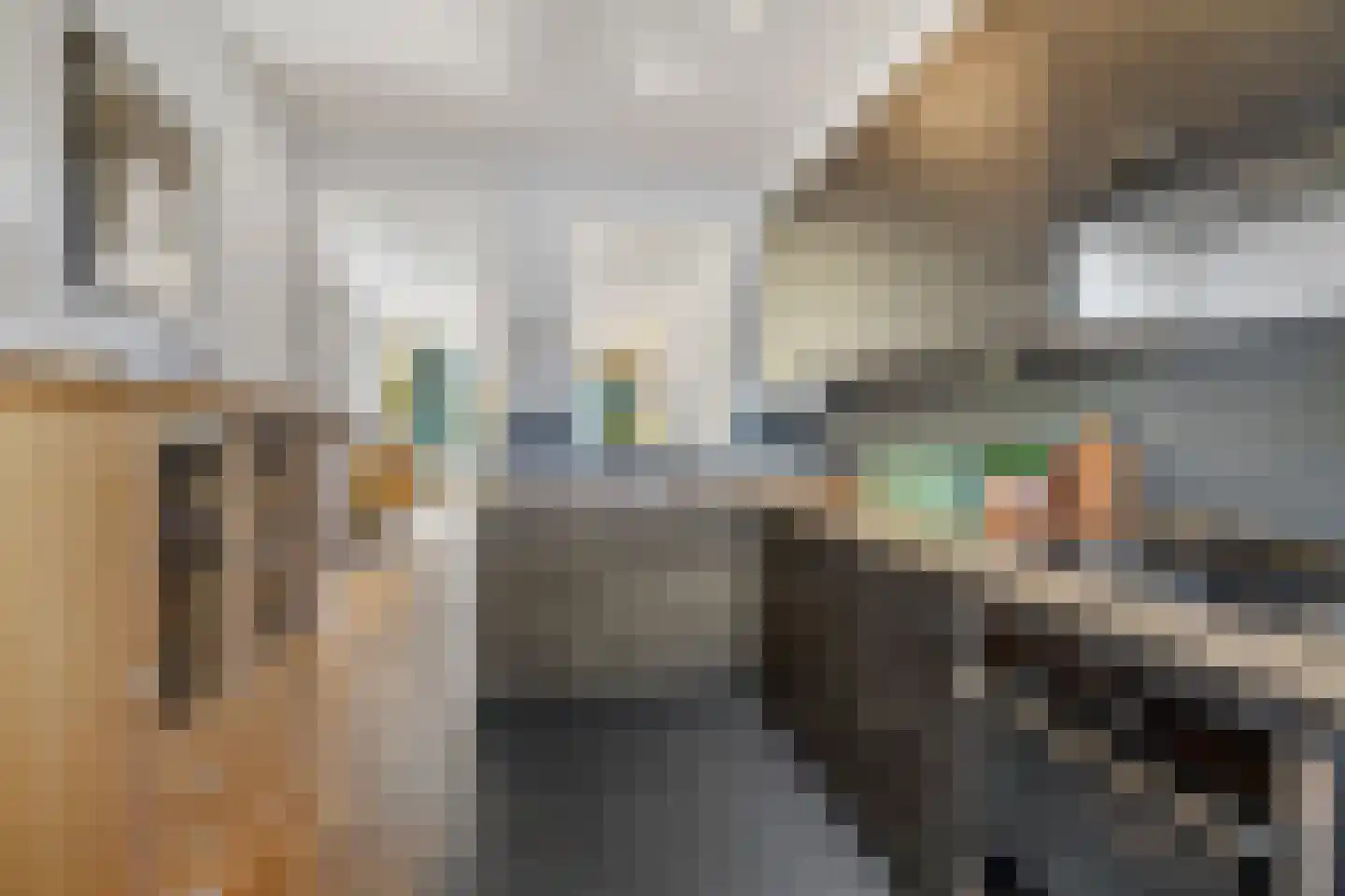 Herensingel 93 Weesp thumbnail 8