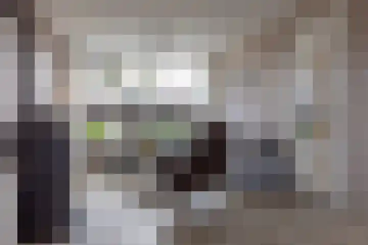 Herenslagen 1 Steenwijk thumbnail 10