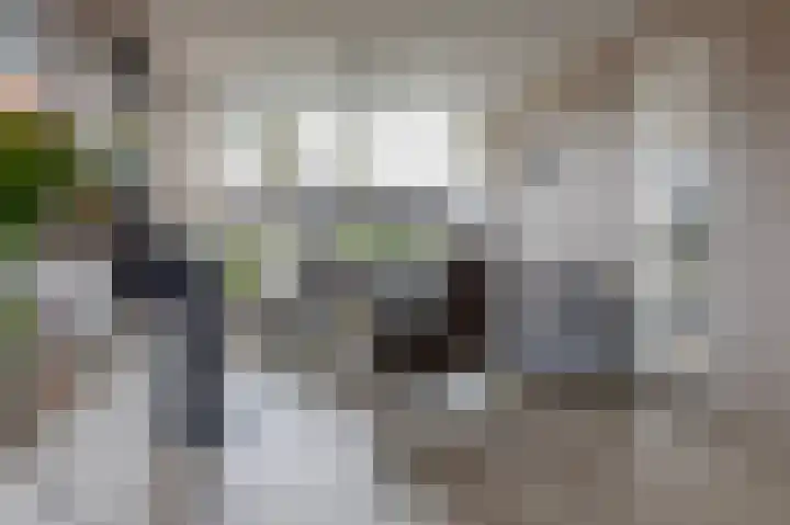Herenslagen 1 Steenwijk thumbnail 12