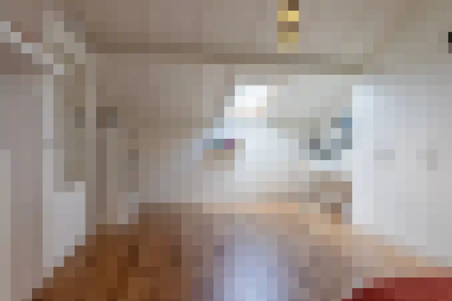 Herenslagen 1 Steenwijk thumbnail 36