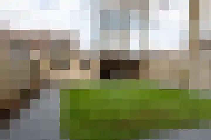 Herenslagen 1 Steenwijk thumbnail 37