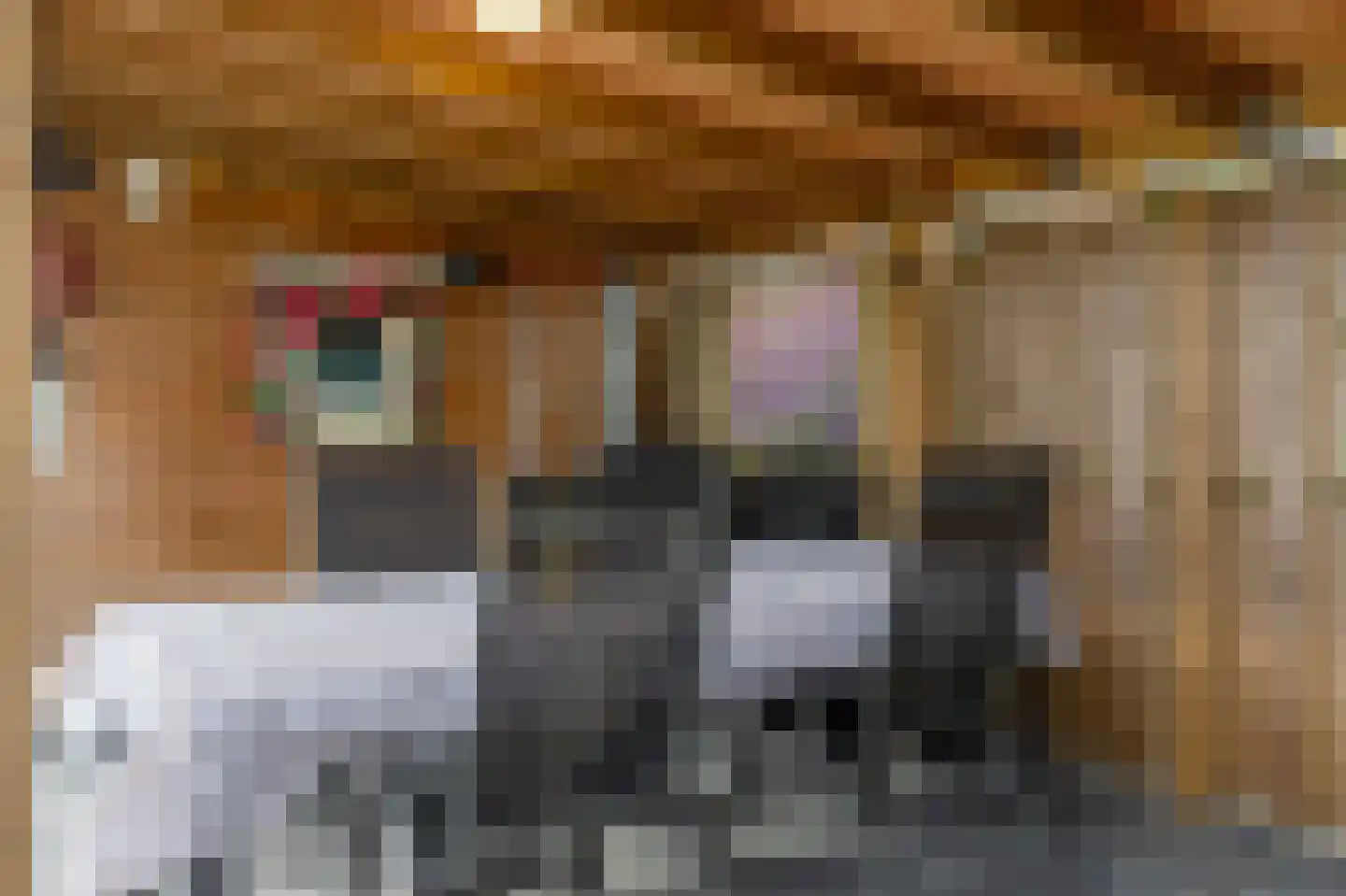 Herenslagen 1 Steenwijk thumbnail 39