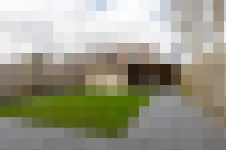 Herenslagen 1 Steenwijk thumbnail 4