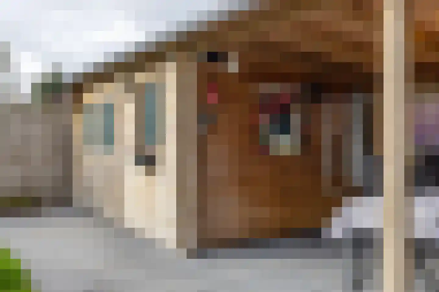 Herenslagen 1 Steenwijk thumbnail 40