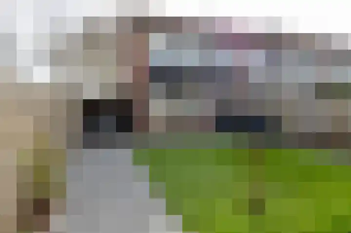 Herenslagen 1 Steenwijk thumbnail 41