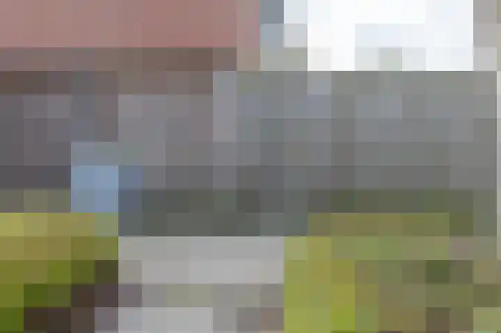 Herenslagen 1 Steenwijk thumbnail 45