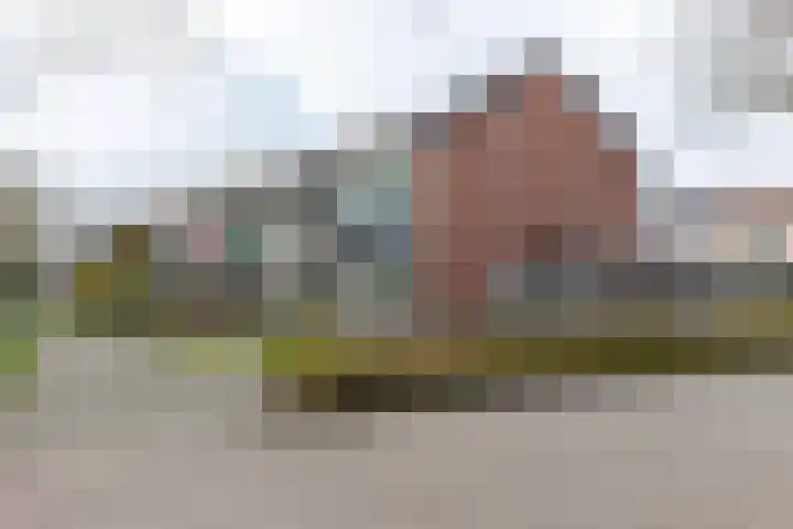 Herenslagen 1 Steenwijk thumbnail 48