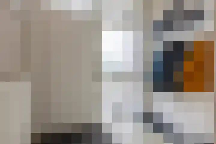 Herenslagen 1 Steenwijk thumbnail 7