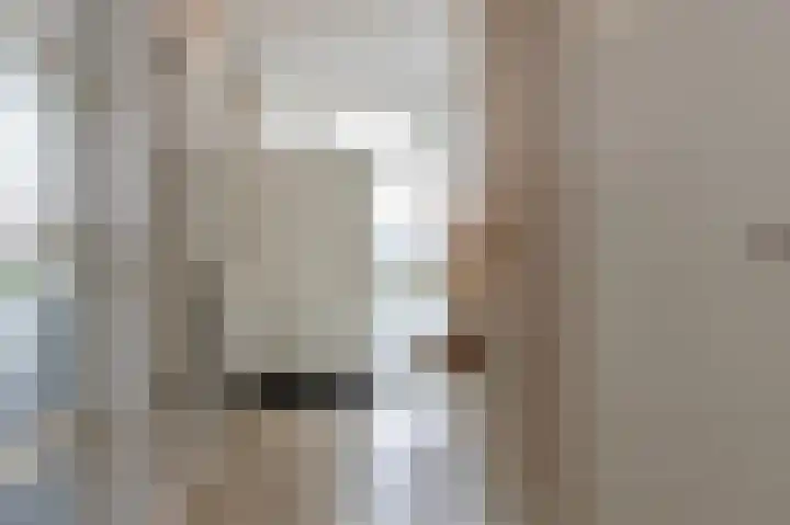 Herenslagen 1 Steenwijk thumbnail 8