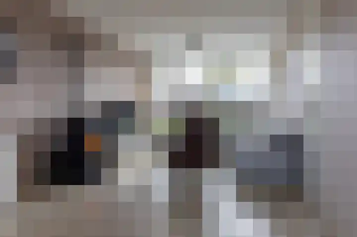 Herenslagen 1 Steenwijk thumbnail 9