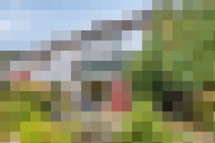 Herenslagen 11 Steenwijk thumbnail 24