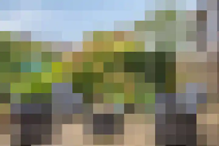 Herenslagen 11 Steenwijk thumbnail 25