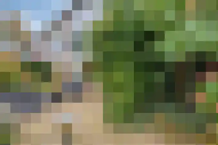 Herenslagen 11 Steenwijk thumbnail 27