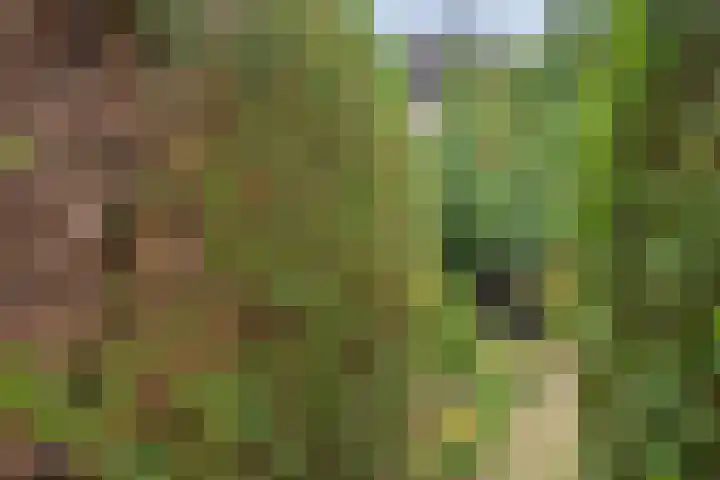 Herenslagen 11 Steenwijk thumbnail 28