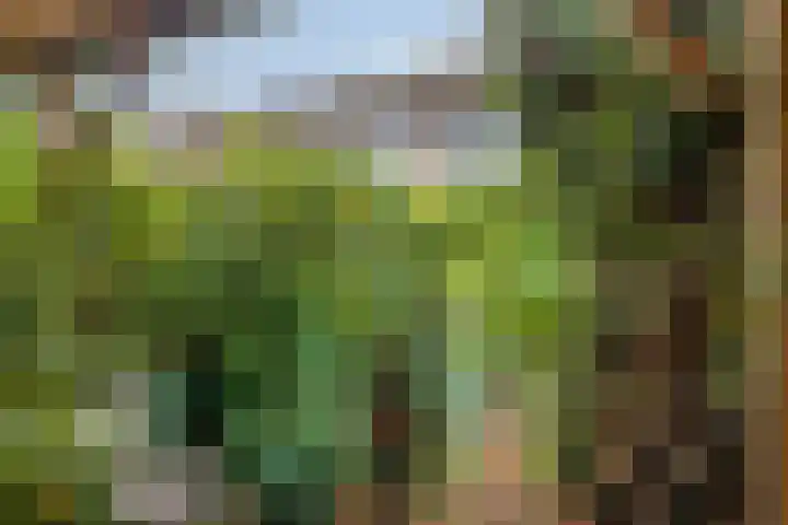 Herenslagen 11 Steenwijk thumbnail 29