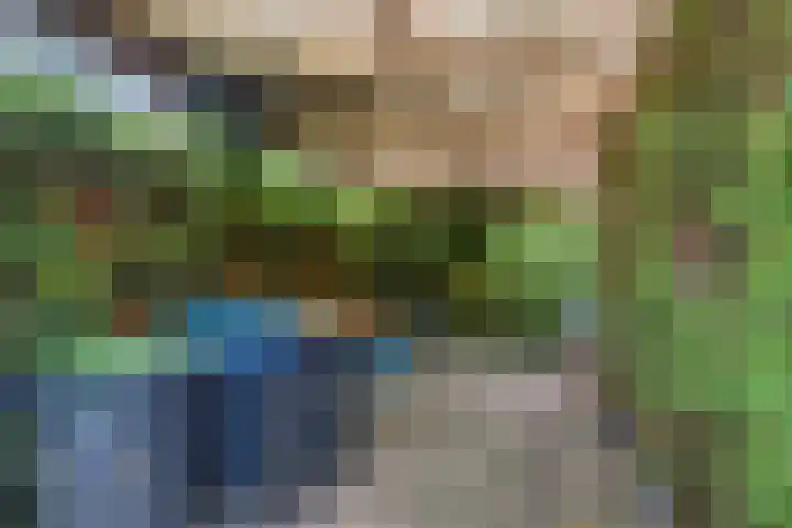 Herenslagen 11 Steenwijk thumbnail 30