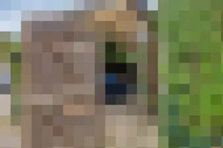 Herenslagen 11 Steenwijk thumbnail 31