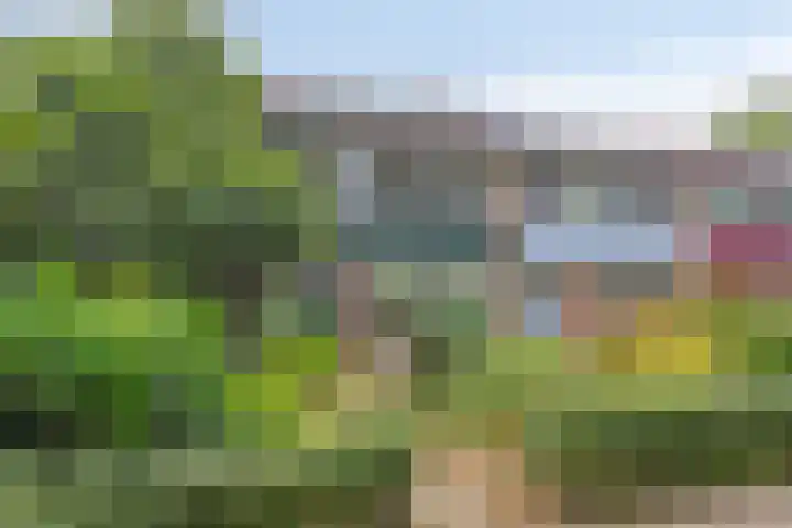 Herenslagen 11 Steenwijk thumbnail 32
