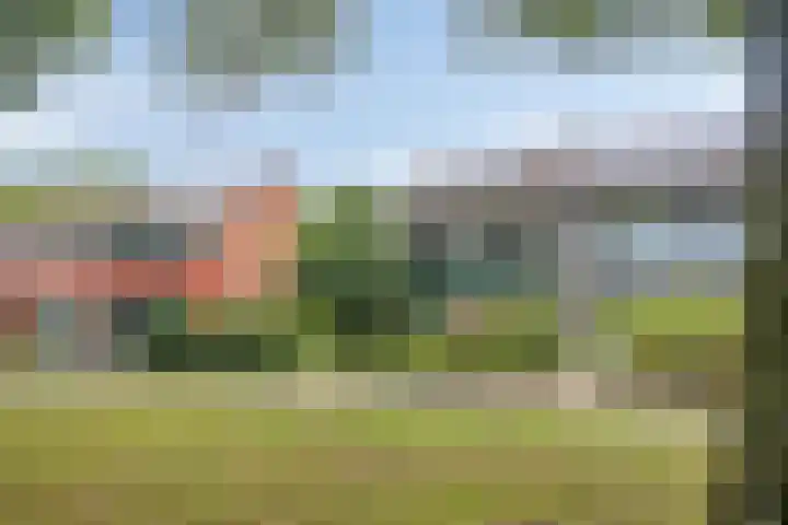 Herenslagen 11 Steenwijk thumbnail 33