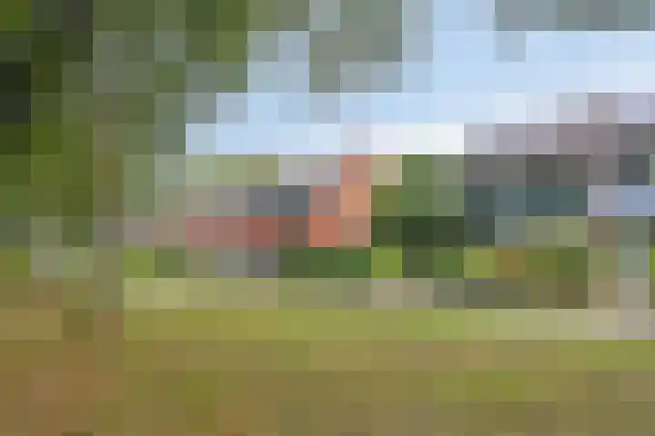 Herenslagen 11 Steenwijk thumbnail 34