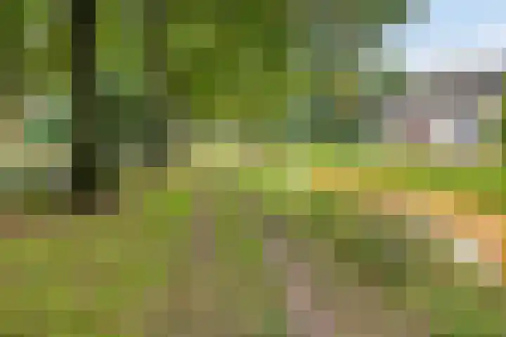Herenslagen 11 Steenwijk thumbnail 35