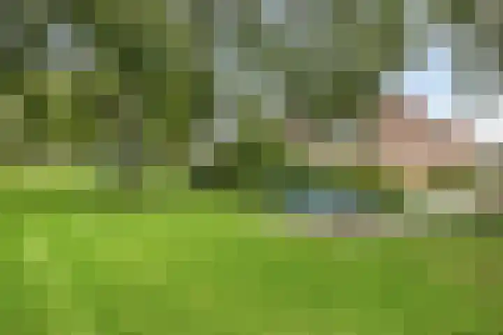 Herenslagen 11 Steenwijk thumbnail 36