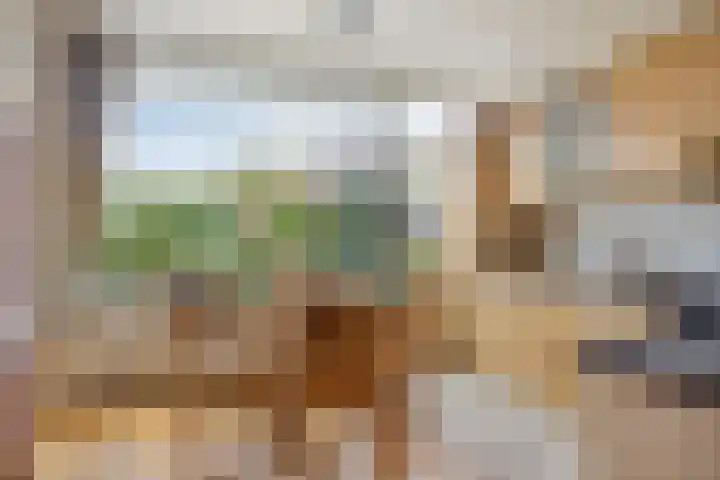 Herenslagen 11 Steenwijk thumbnail 5