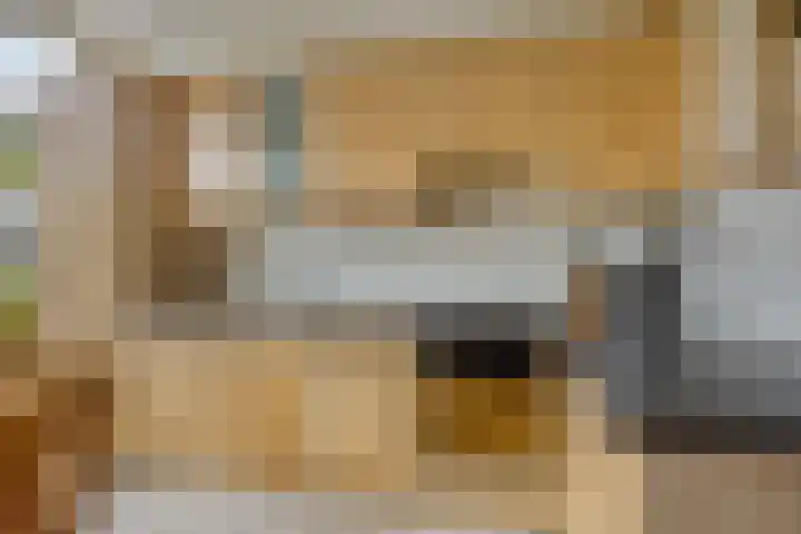 Herenslagen 11 Steenwijk thumbnail 6