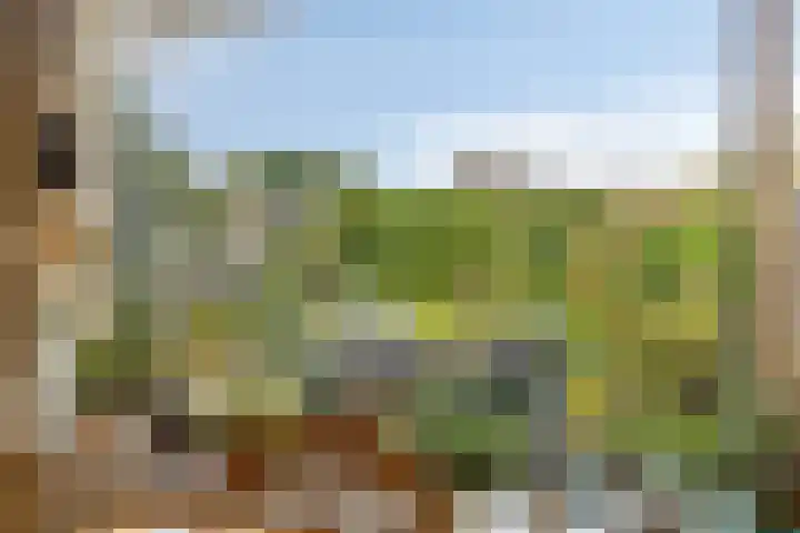 Herenslagen 11 Steenwijk thumbnail 7