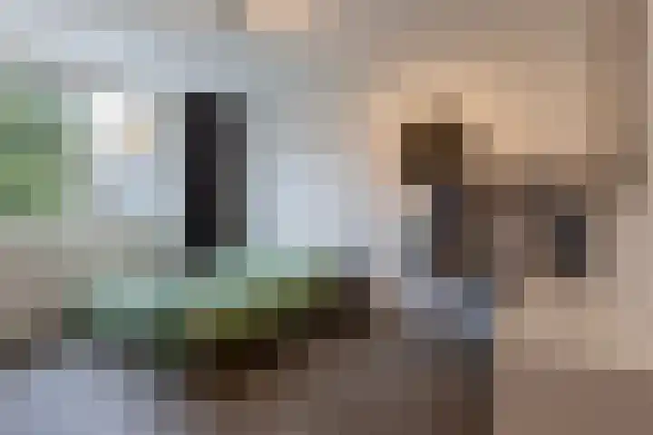 Herenslagen 115 Steenwijk thumbnail 32