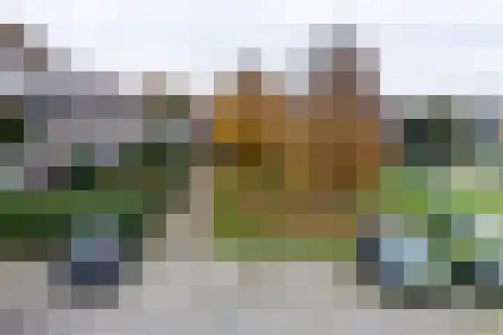 Herenslagen 115 Steenwijk thumbnail 50