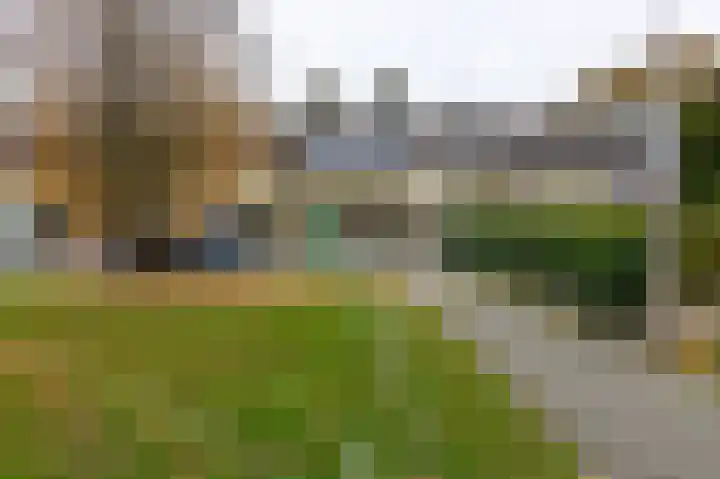 Herenslagen 115 Steenwijk thumbnail 51