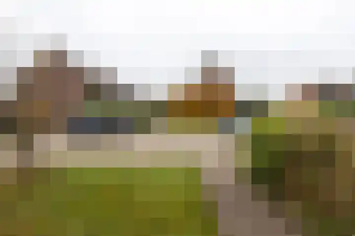 Herenslagen 115 Steenwijk thumbnail 52