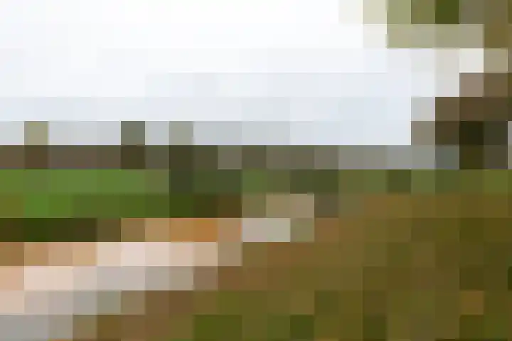 Herenslagen 115 Steenwijk thumbnail 55