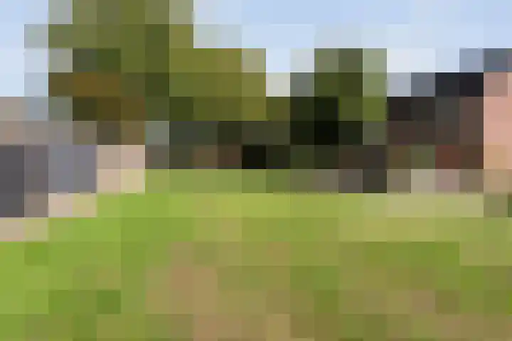 Herenslagen 128 Steenwijk thumbnail 21