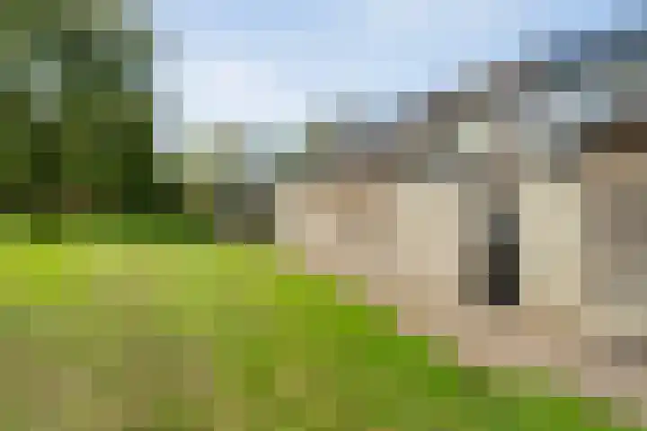Herenslagen 128 Steenwijk thumbnail 22
