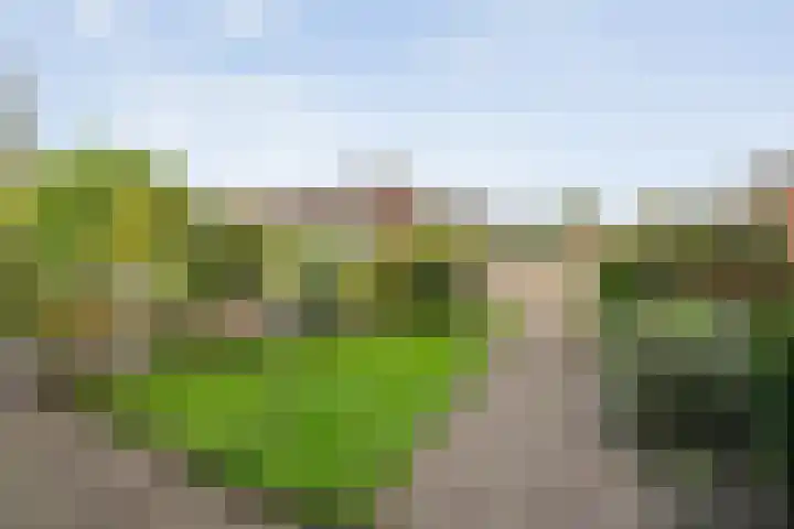 Herenslagen 128 Steenwijk thumbnail 23