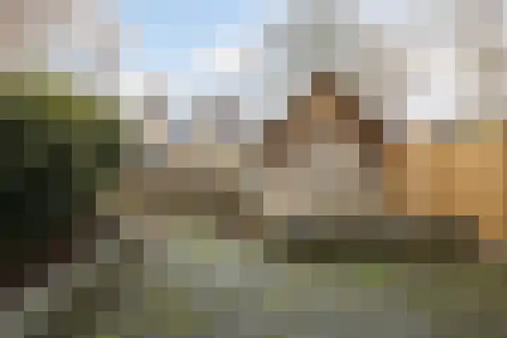 Herenslagen 166 Steenwijk thumbnail 6