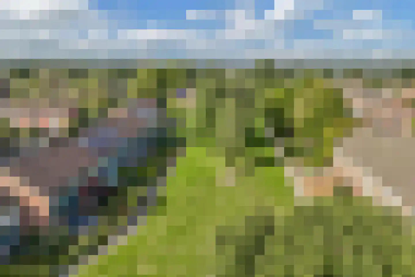 Herenslagen 34 Steenwijk thumbnail 40