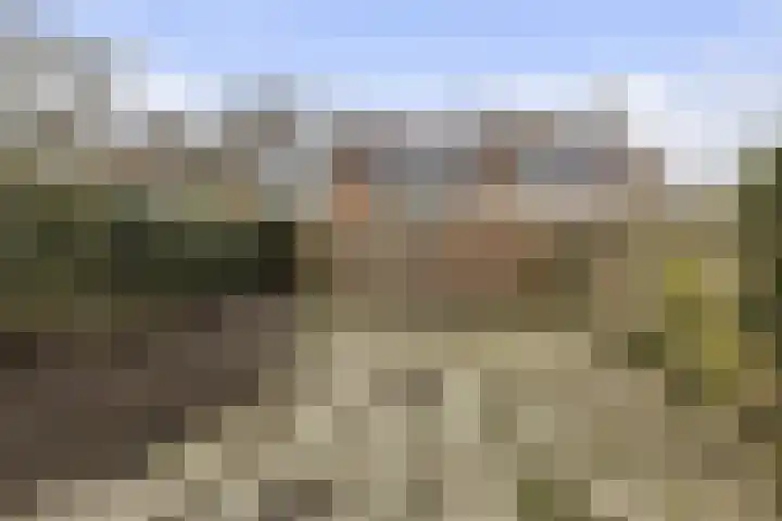 Herenslagen 88 Steenwijk thumbnail 4