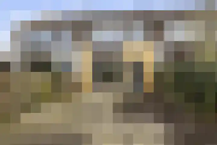 Herenslagen 88 Steenwijk thumbnail 5