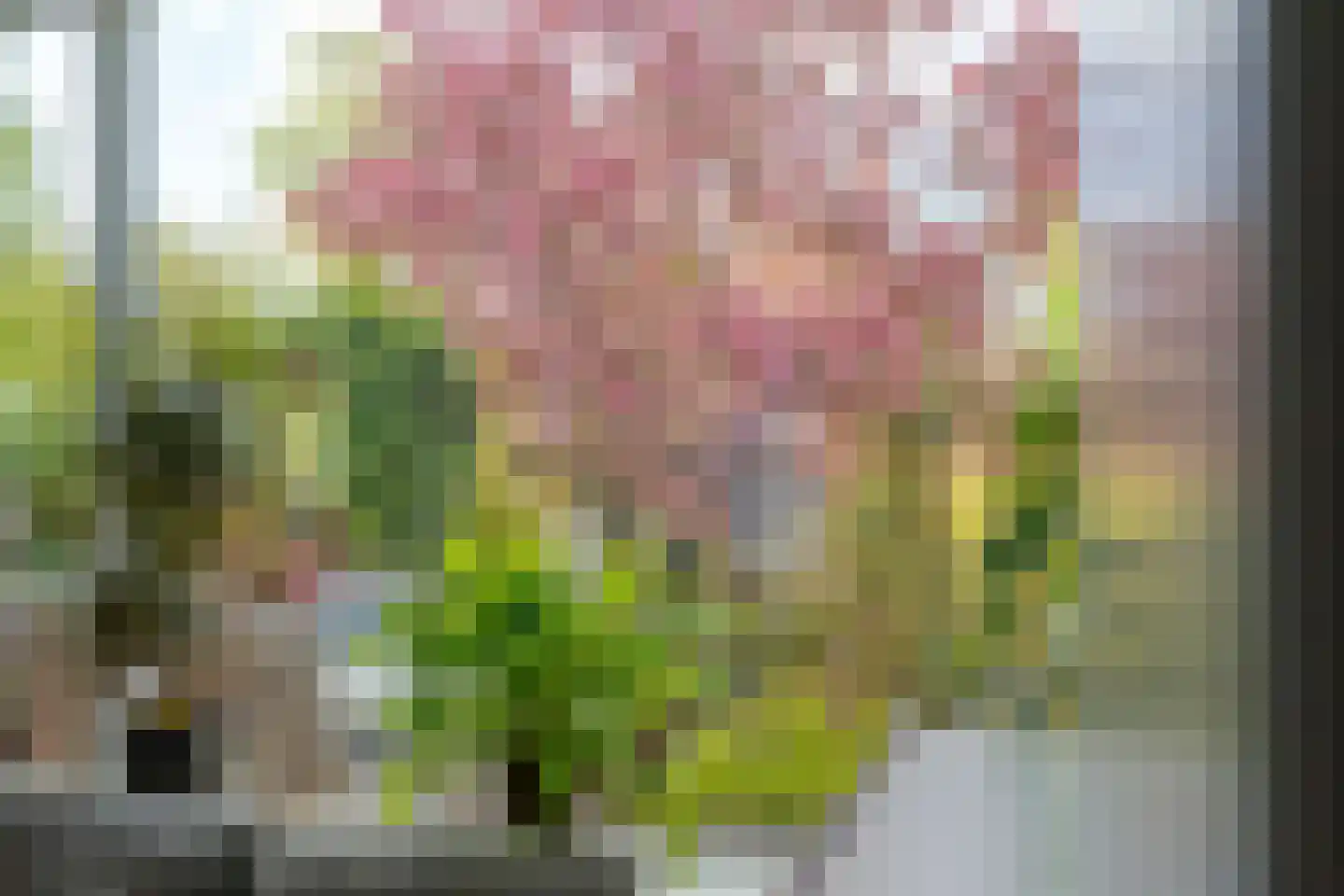 Herenslagen 99 Steenwijk thumbnail 12