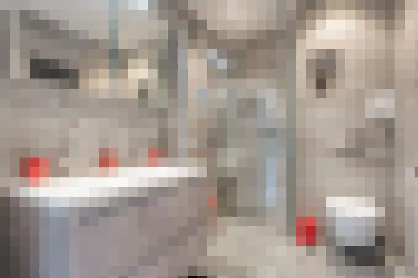 Herenslagen 99 Steenwijk thumbnail 4