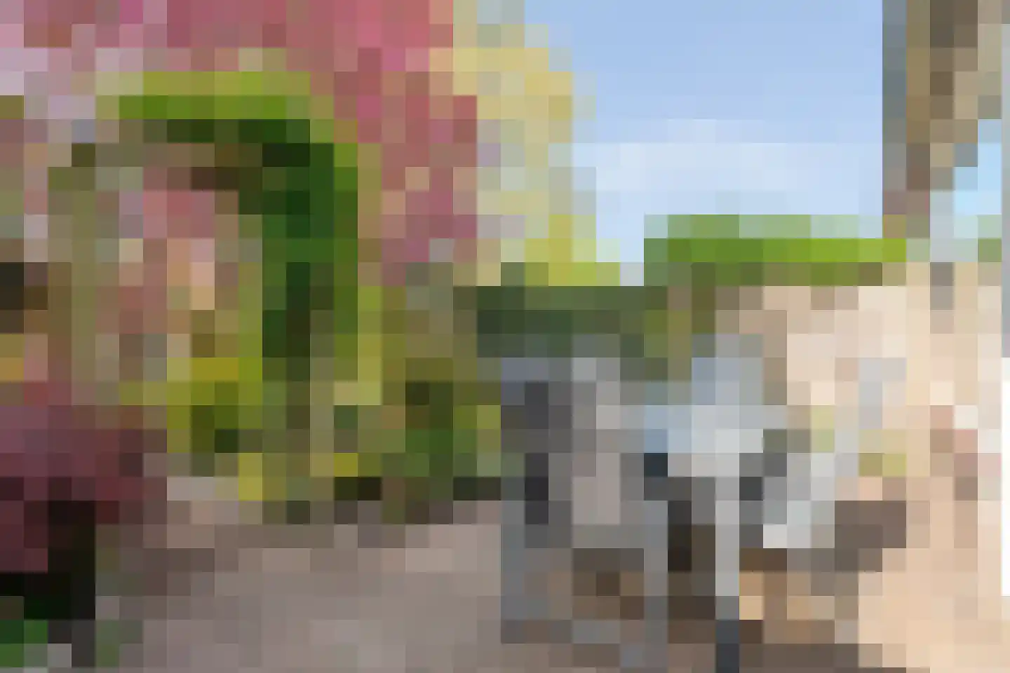 Herenslagen 99 Steenwijk thumbnail 41