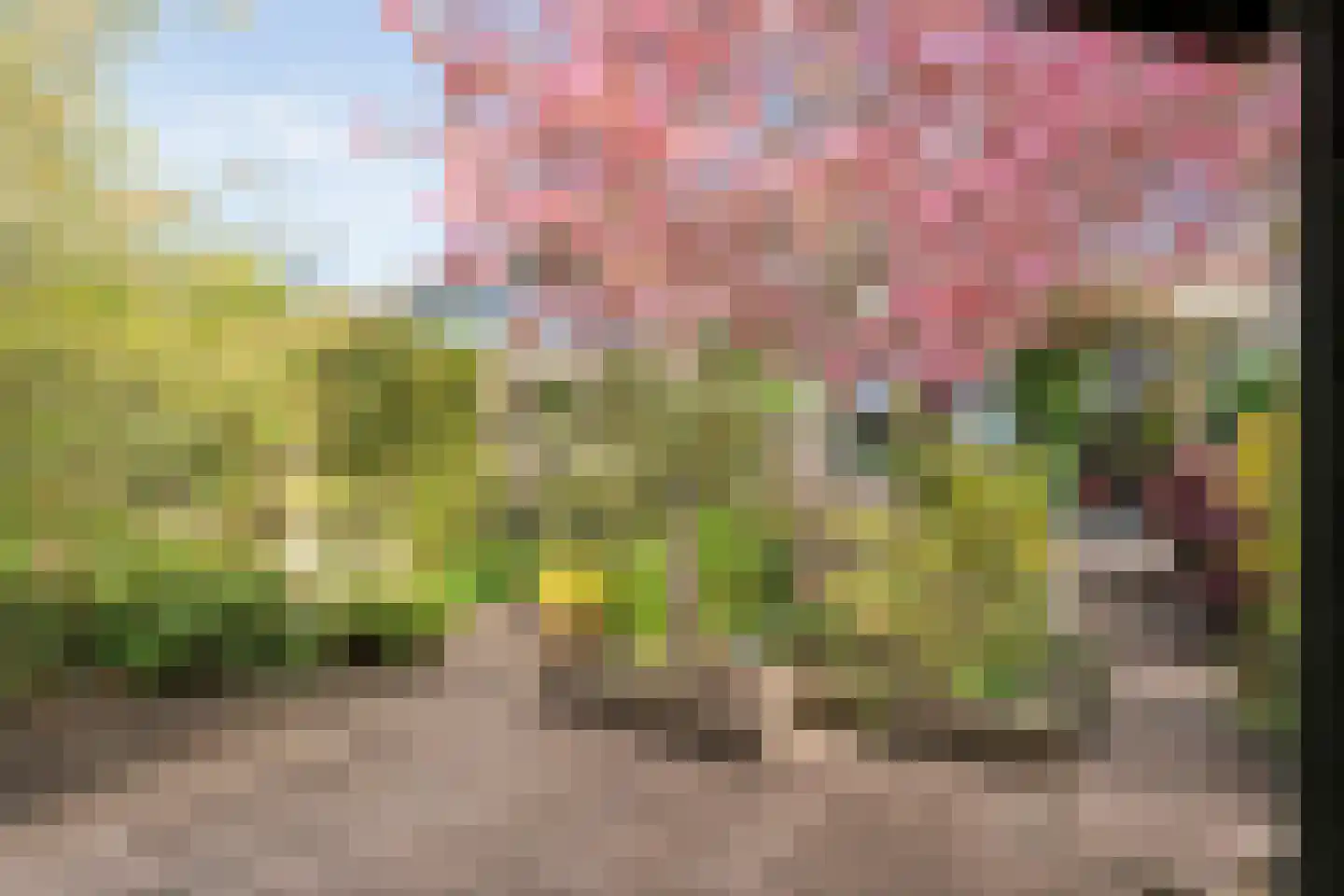 Herenslagen 99 Steenwijk thumbnail 47