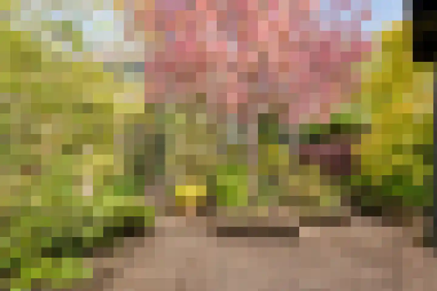 Herenslagen 99 Steenwijk thumbnail 48