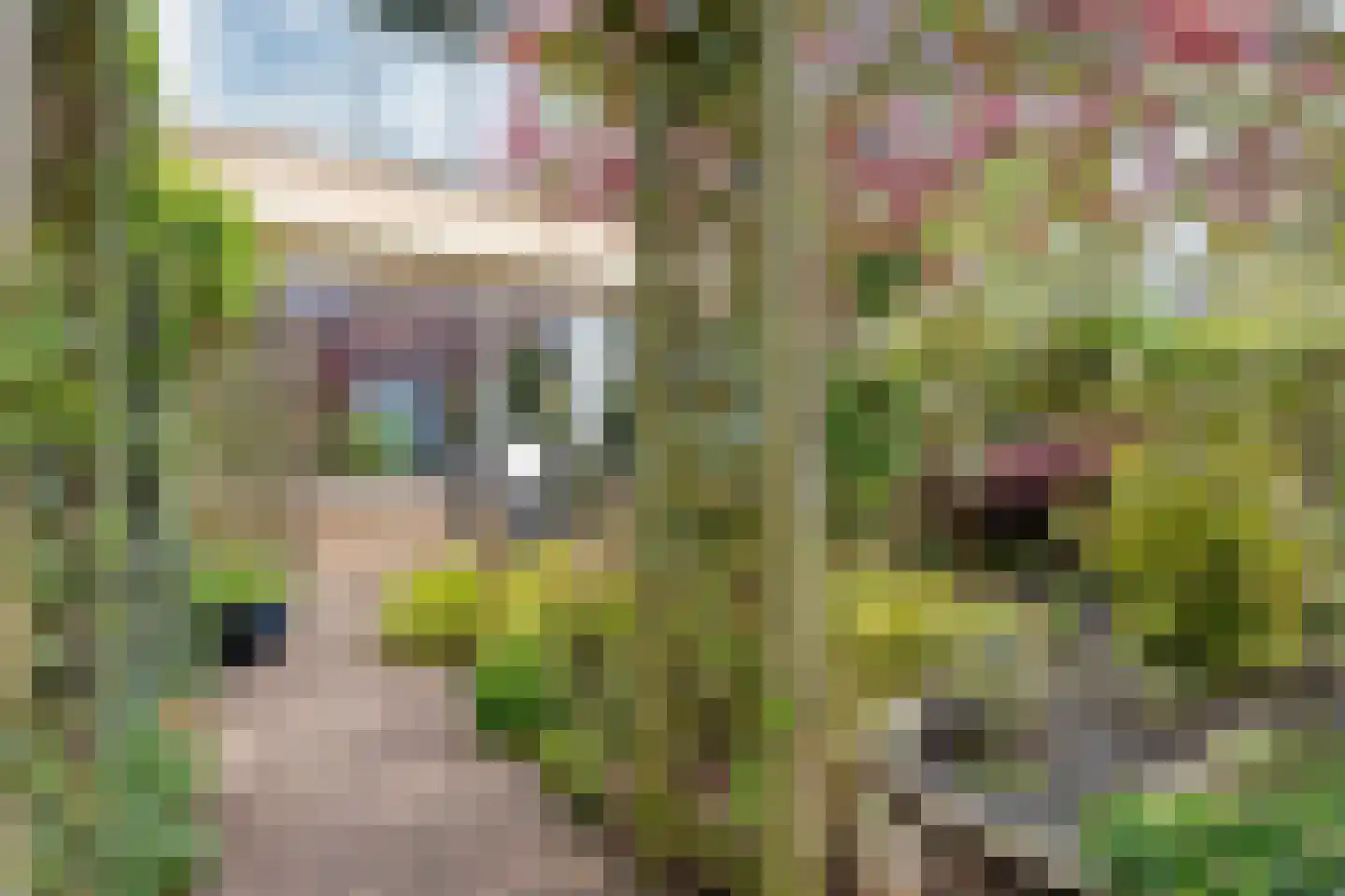 Herenslagen 99 Steenwijk thumbnail 49
