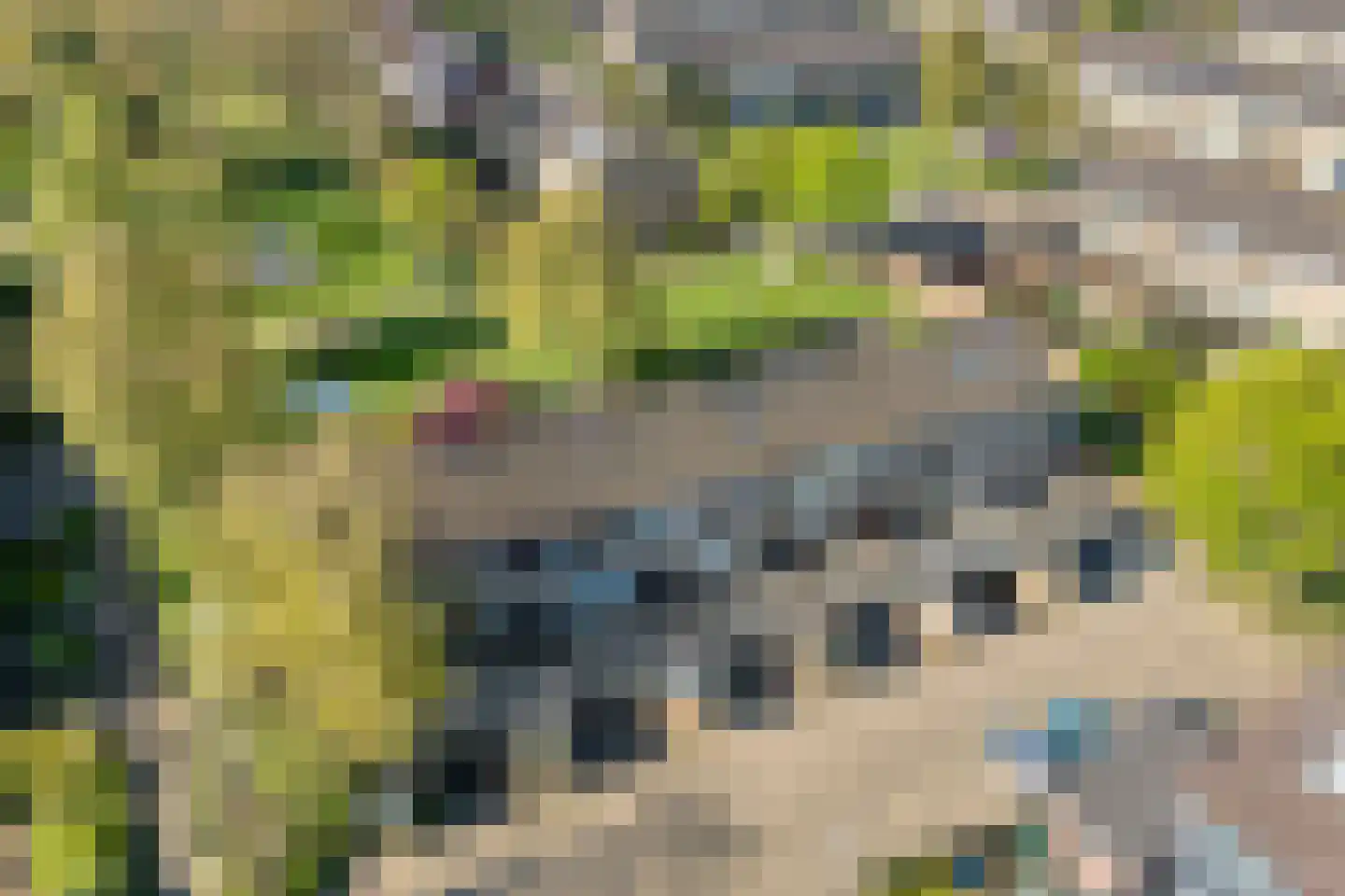 Herenslagen 99 Steenwijk thumbnail 53