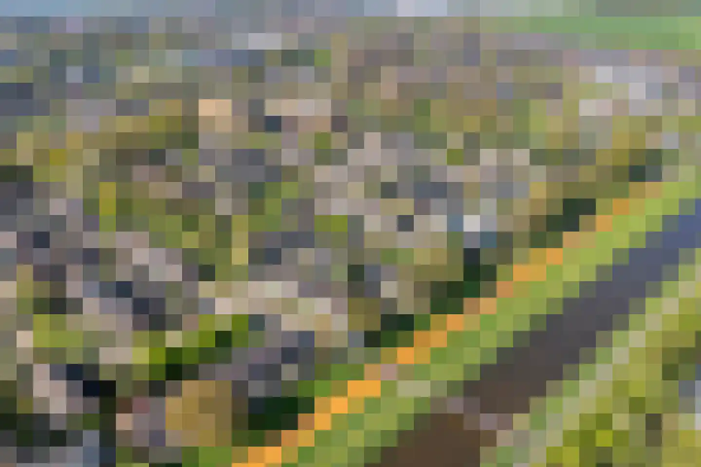 Herenslagen 99 Steenwijk thumbnail 55