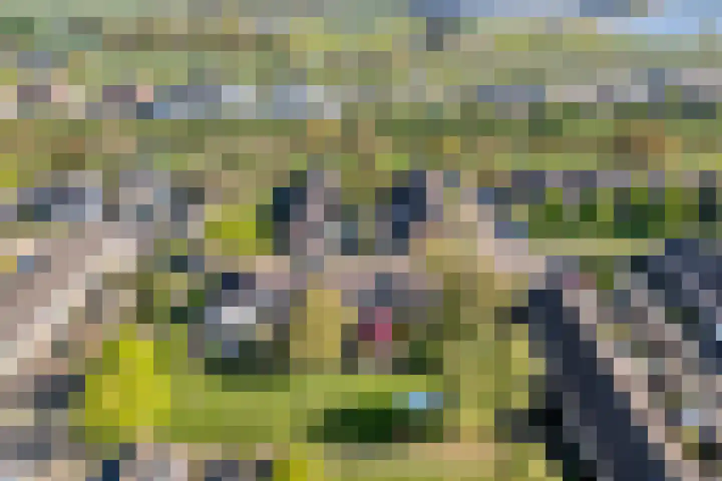 Herenslagen 99 Steenwijk thumbnail 6